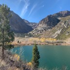 Close Encounters of the Ursine Kind